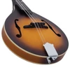 Recording King Dirty 30s A Mandolin Satin Tobacco Sunburst | Musician Madness