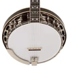 Recording King Tone Ring Banjo | Musician Madness