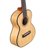 Alvarez BambooUke, All Solid Tenor  Ukulele (MU55T) | Musician Madness