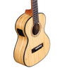 Alvarez BambooUke, All Solid Tenor Ukulele Acoustic Elec w/EQ&Tuner (MU55TE) | Musician Madness