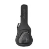 Alvarez 30mm FlexiCase Parlor, Delta, Blues 51 (AFC30PB) | Musician Madness