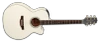 Takamine GN37CE PW Acoustic Guitar w/ Gig Bag (TAKGN37CEPW) | Musician Madness