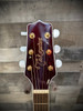 Takamine GN75CE WR Acoustic Guitar (TAKGN75CEWR) | Musician Madness