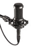 Audio-Technica AT2035 Cardioid Condenser Microphone (AT2035-U) | Musician Madness