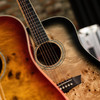 Washburn Deep Forest Burl D Acoustic Guitar - Black Fade (DFBDB) | Musician Madness