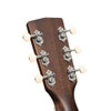 Cort Exotic Series SFX Ash Acoustic Electric Guitar - Black Finish (EXOTICSFXASHBK-U) | Musician Madness