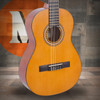 Valencia VC203 200 Series 3/4 Size Classical Guitar - Antique Natural Finish (VC203-U) | Musician Madness