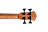 Washburn WCBM15SEK Mini Comfort Bass (WCBM15SEK-U) | Musician Madness