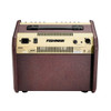 Fishman Loudbox Mini BT 60-watt 1 x 6.5-inch Acoustic Guitar Amplifier (PRO-LBT-500) | Musician Madness