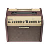 Fishman Loudbox Mini BT 60-watt 1 x 6.5-inch Acoustic Guitar Amplifier (PRO-LBT-500) | Musician Madness