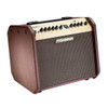 Fishman Loudbox Mini BT 60-watt 1 x 6.5-inch Acoustic Guitar Amplifier (PRO-LBT-500) | Musician Madness