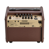 Fishman Loudbox Micro 40-watt 1 x 5.25-inch Acoustic Guitar Amplifier (PRO-LBT-400)
