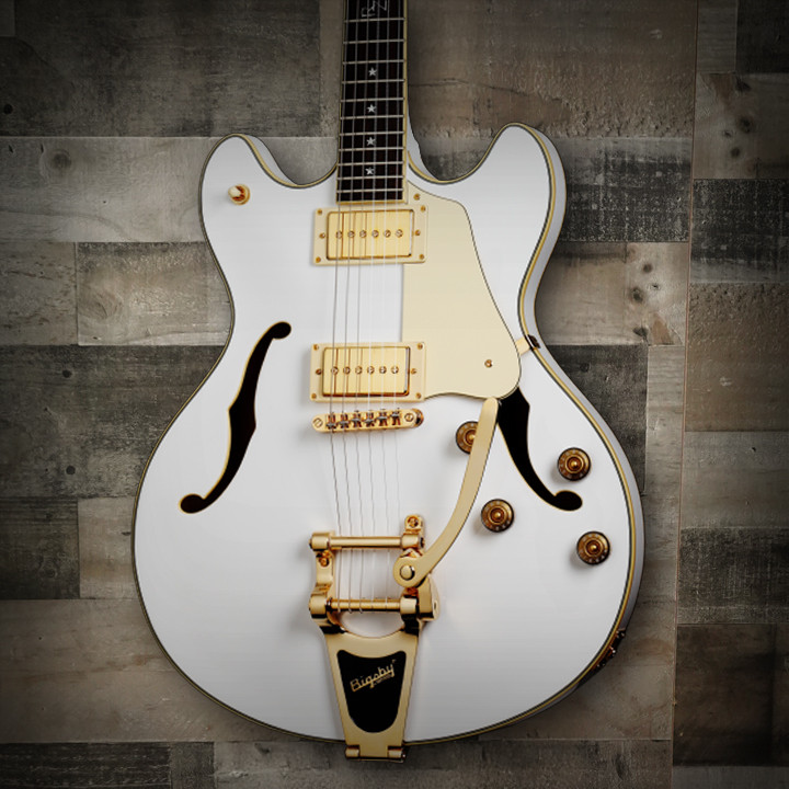 Schecter Robin Zander Signature Corsair Electric Guitar with semi-hollow body, Bigsby tremolo, and Schecter Diamond pickups in gloss finish.