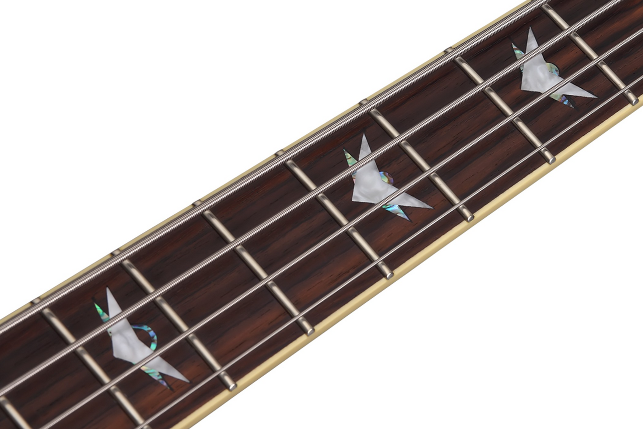 Schecter Stiletto Extreme-4 Bass Guitar - See Thru Black (2503) | Musician Madness