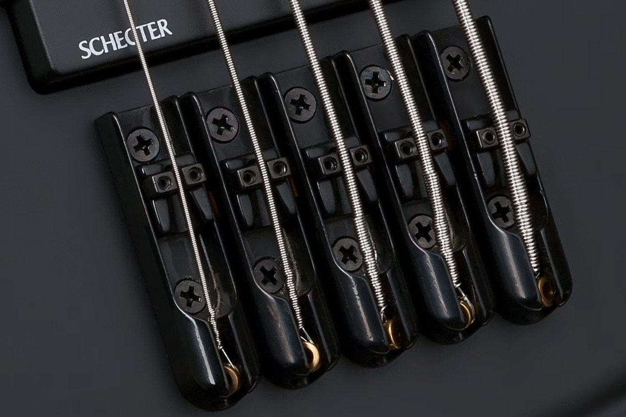 Schecter STILETTO STEALTH-5 L/H | Musician Madness