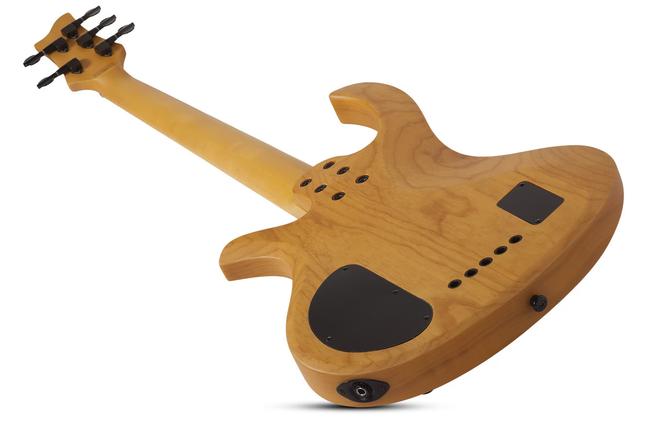 Schecter Riot Session-5 Electric Bass Guitar (2853) | Musician Madness