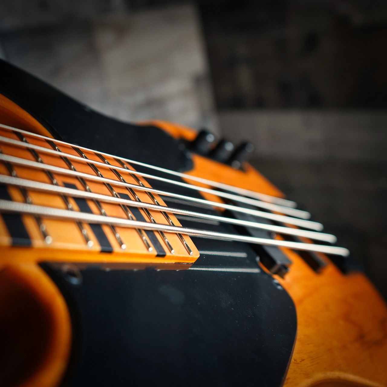 Schecter Model-T Session-5 Electric Bass Guitar - 5-string bass featuring EMG pickups, maple neck, and satin finish for classic tone and modern playability