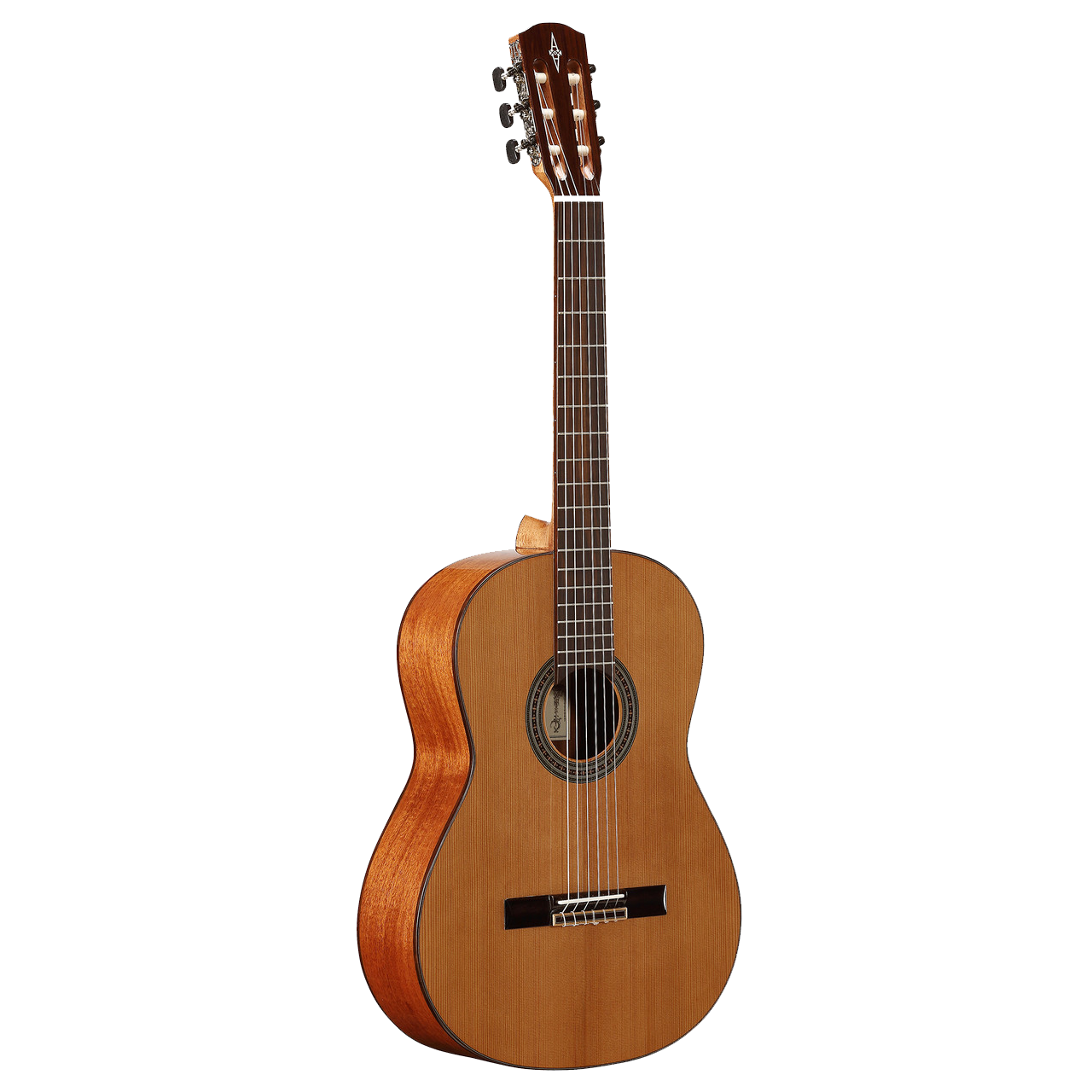 Alvarez Artist Classical Guitar (AC65)