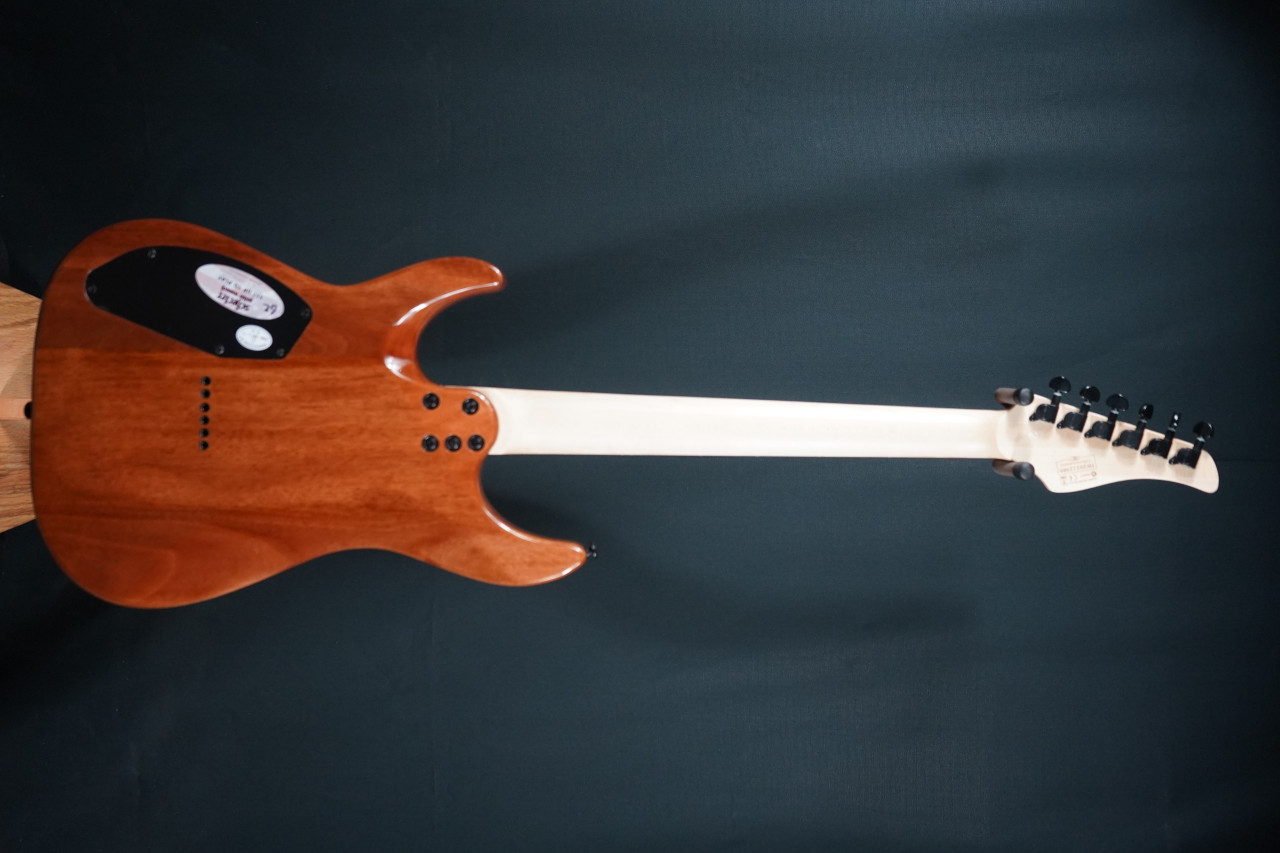 Schecter CR-6 Charcoal Burst (B-Stock) | Musician Madness