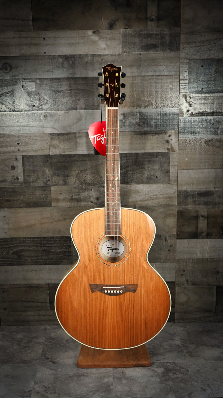  Tagima FS-650 NC EQ/NT Jumbo Acoustic Electric Guitar