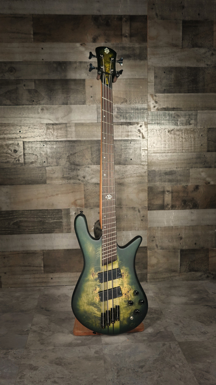 Spector NS Dimension 4 Bass Guitar - Haunted Moss Matte