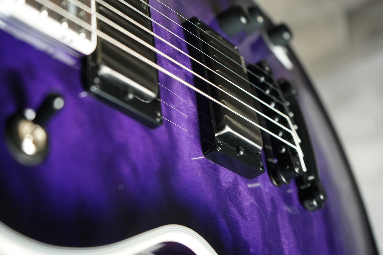 ESP LTD Deluxe EC1000 LEC1000QMSTPSB Quilt Maple See-Thru Purple Burst Guitar