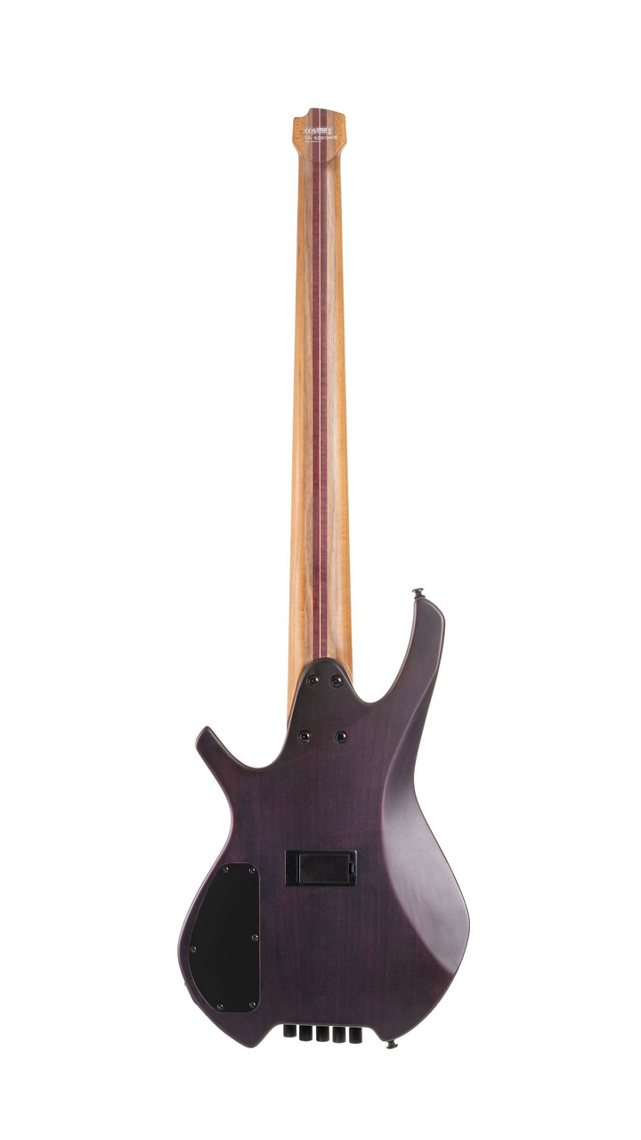 Cort SPACE5SDG Artisan Series Space 5 Bass Guitar (5-String) â