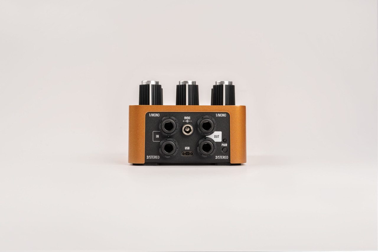 Universal Audio WOODROW '55 Instrument Amplifier | Musician Madness