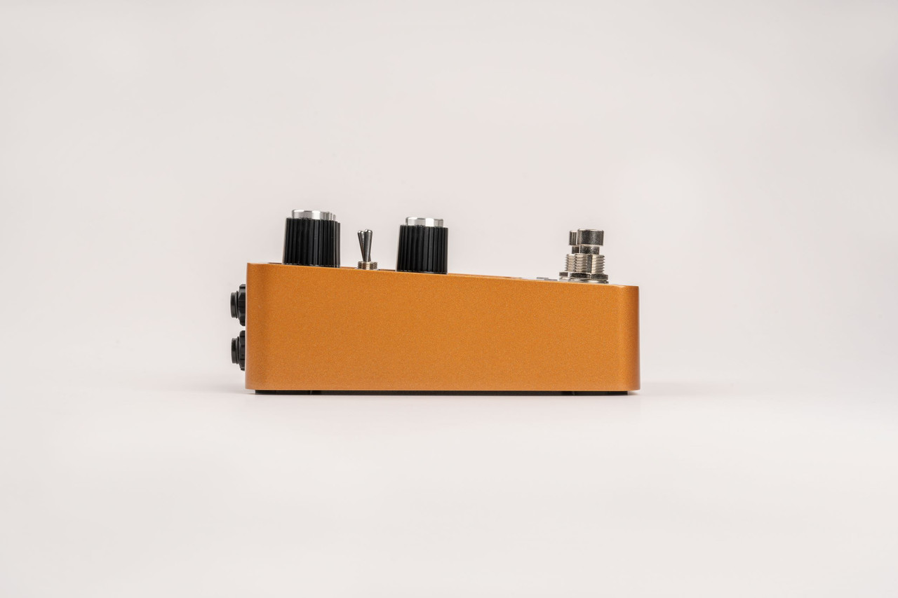 Universal Audio WOODROW '55 Instrument Amplifier | Musician Madness