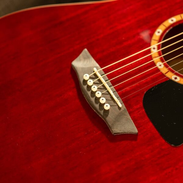Washburn WD100DL Dreadnought Mahogany Acoustic Guitar w/ Gigbag (WD100DLTWRK-A-U) | Musician Madness