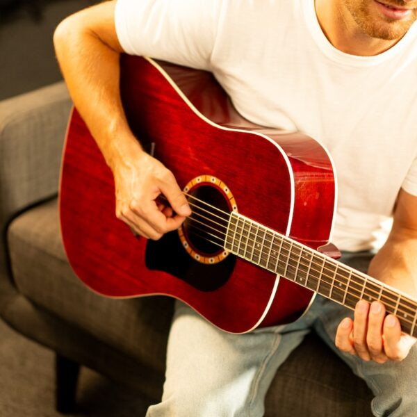 Washburn WD100DL Dreadnought Mahogany Acoustic Guitar w/ Gigbag (WD100DLTWRK-A-U)