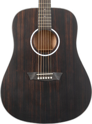 Washburn DFED-U Deep Forest Dreadnought Acoustic Guitar with striped ebony top and natural wood grain finish – Musician Madness