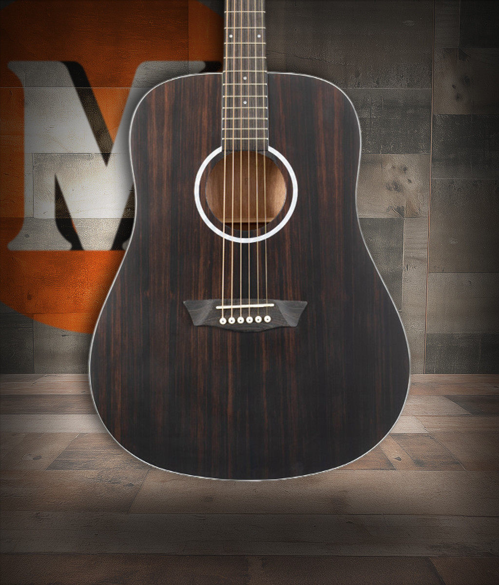 Washburn DFED-U Deep Forest Dreadnought Acoustic Guitar with striped ebony top and natural wood grain finish – Musician Madness