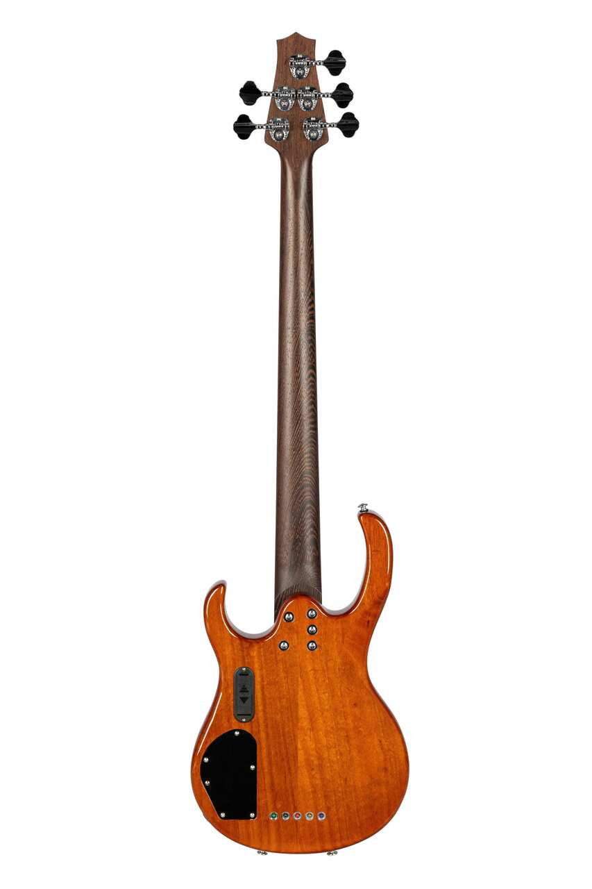 H. Jimenez 5-String Glossy Gold Top Bass Guitar (LBS5-GT) with deluxe padded gig bag