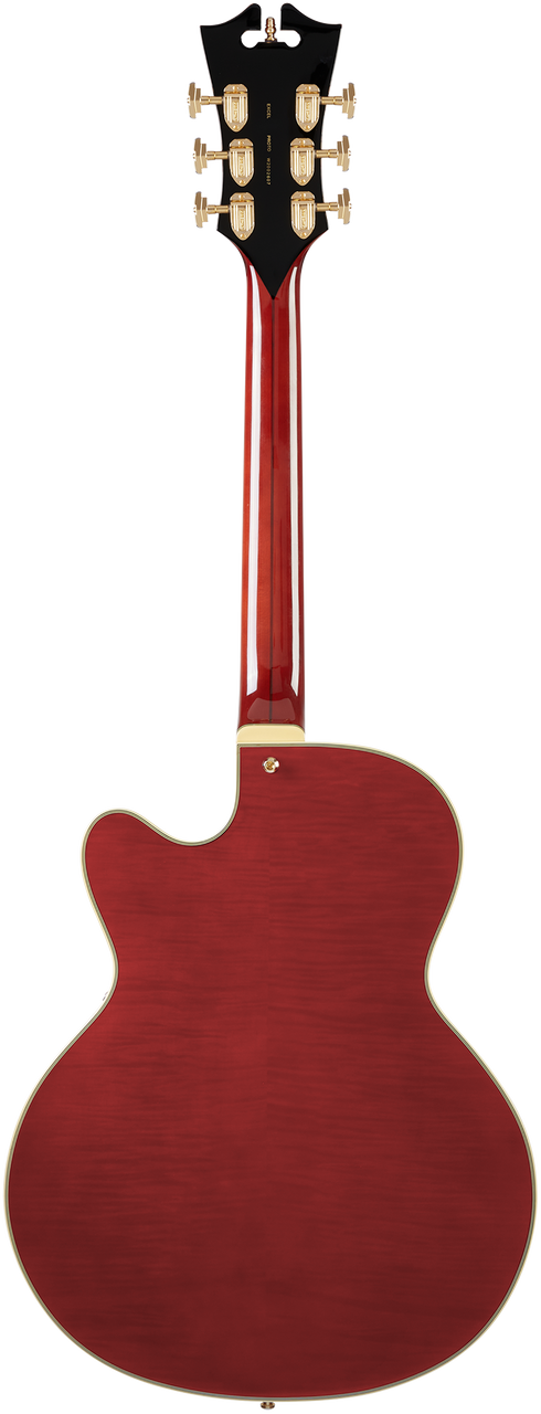 D'Angelico Excel 59 w/ Case - Viola (DAE59VIOGT) | Musician Madness