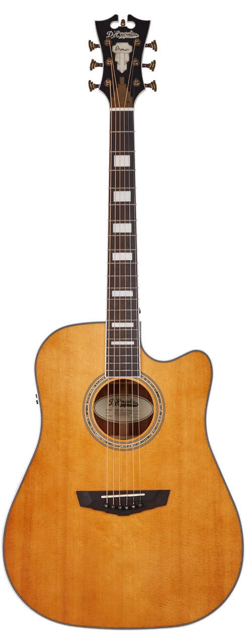 The DÃ¢â‚¬â„¢Angelico Bowery Dreadnought CE (DAPD500VNATAPS) offers powerful projection and warm dreadnought resonance with the convenience of a cutaway for upper-fret access. Its Vintage Natural finish showcases classic acoustic styling, while quality electronics deliver clear amplified tone. Perfect for performers, worship players, and singer-songwriters needing balance, clarity, and stage-ready functionality.