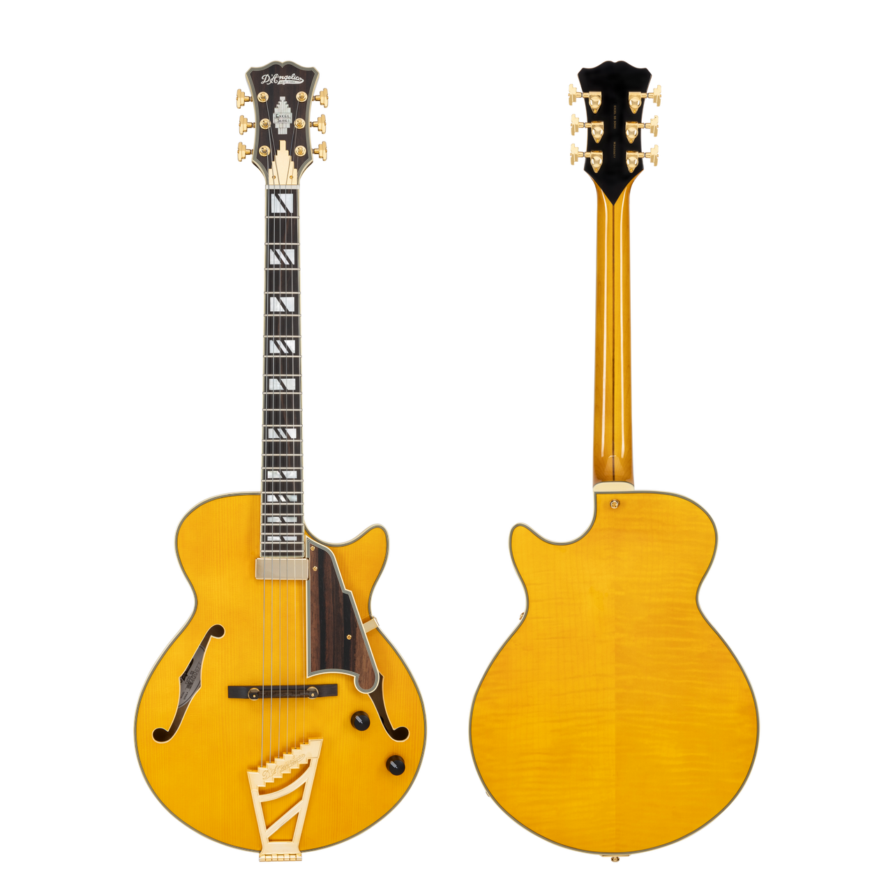 The Dâ€™Angelico Excel SS Thinline Hollow Body (DAESSSAMBGT) features a slim, comfortable single-cutaway design with a warm, resonant hollow-body tone. Its Amber finish highlights classic styling with elegant binding, premium pickups, and gold hardware. Ideal for jazz, blues, R&B, and players seeking vintage sweetness with modern playability.