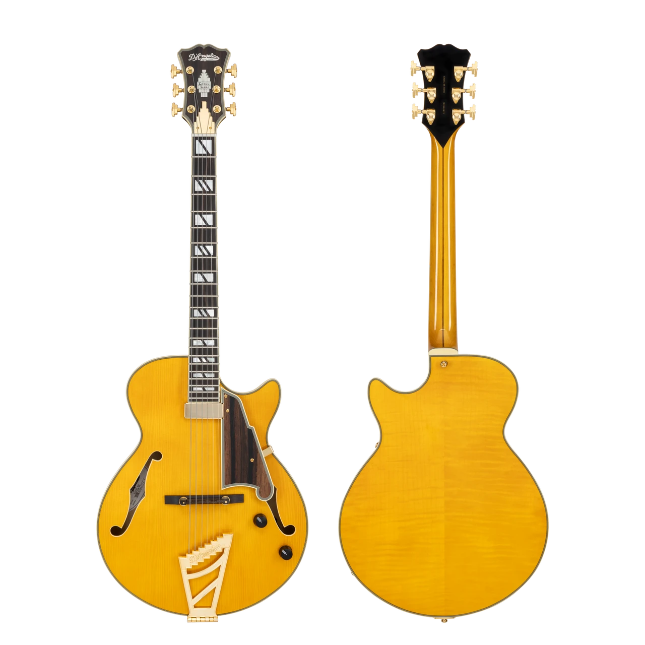 The DÃ¢â‚¬â„¢Angelico Excel SS Thinline Hollow Body (DAESSSAMBGT) features a slim, comfortable single-cutaway design with a warm, resonant hollow-body tone. Its Amber finish highlights classic styling with elegant binding, premium pickups, and gold hardware. Ideal for jazz, blues, R&B, and players seeking vintage sweetness with modern playability.