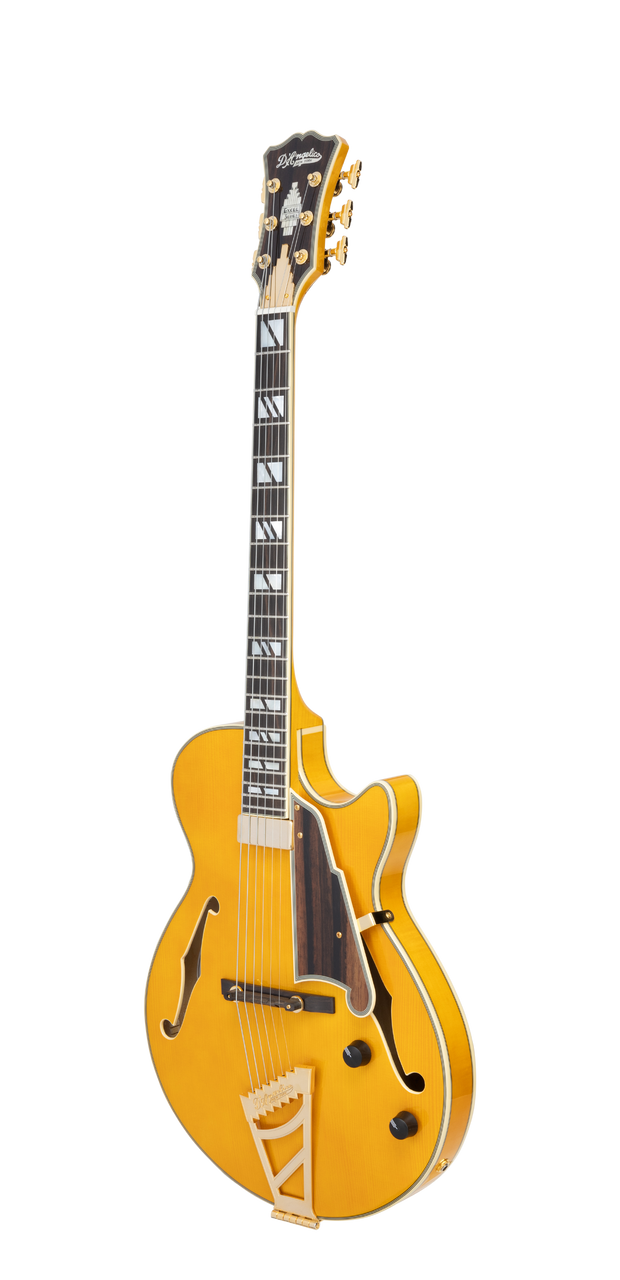 The DÃ¢â‚¬â„¢Angelico Excel SS Thinline Hollow Body (DAESSSAMBGT) features a slim, comfortable single-cutaway design with a warm, resonant hollow-body tone. Its Amber finish highlights classic styling with elegant binding, premium pickups, and gold hardware. Ideal for jazz, blues, R&B, and players seeking vintage sweetness with modern playability.