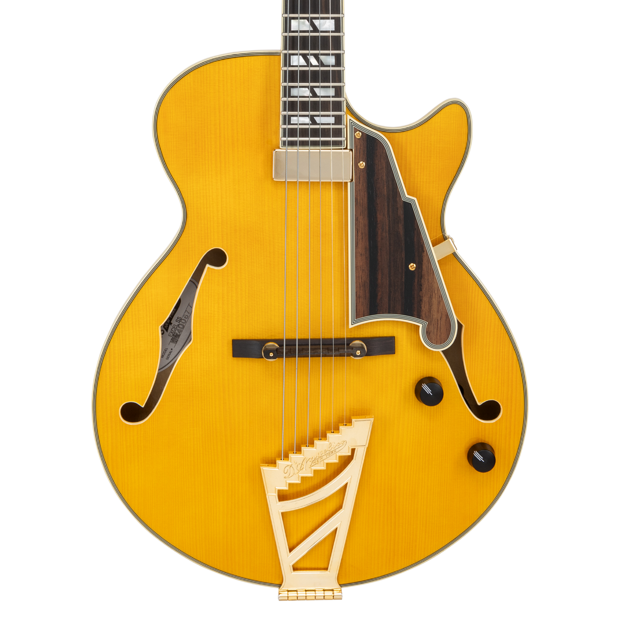 The Dâ€™Angelico Excel SS Thinline Hollow Body (DAESSSAMBGT) features a slim, comfortable single-cutaway design with a warm, resonant hollow-body tone. Its Amber finish highlights classic styling with elegant binding, premium pickups, and gold hardware. Ideal for jazz, blues, R&B, and players seeking vintage sweetness with modern playability.