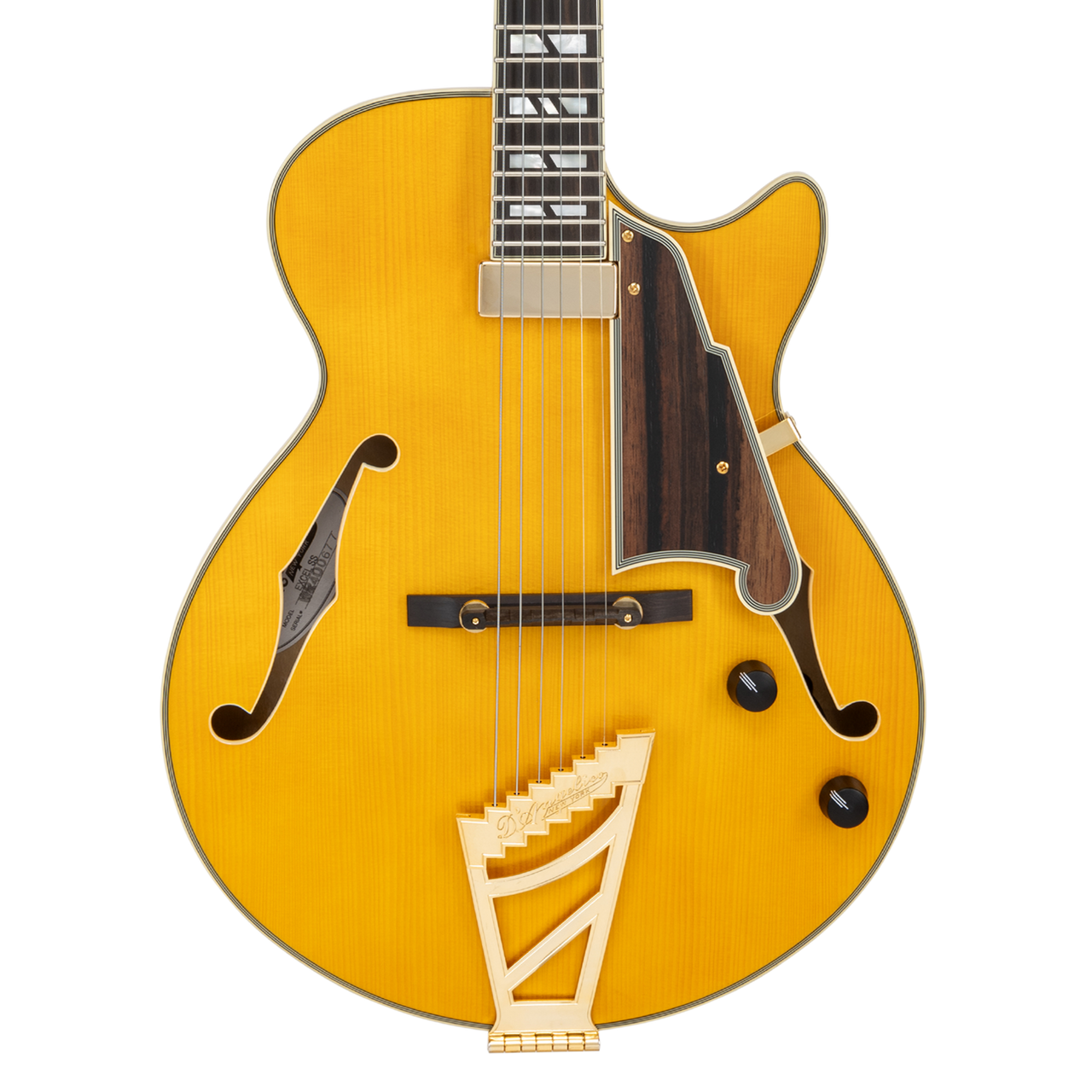 D'Angelico Excel SS Thinline Hollow Body - Amber (DAESSSAMBGT) | Musician Madness