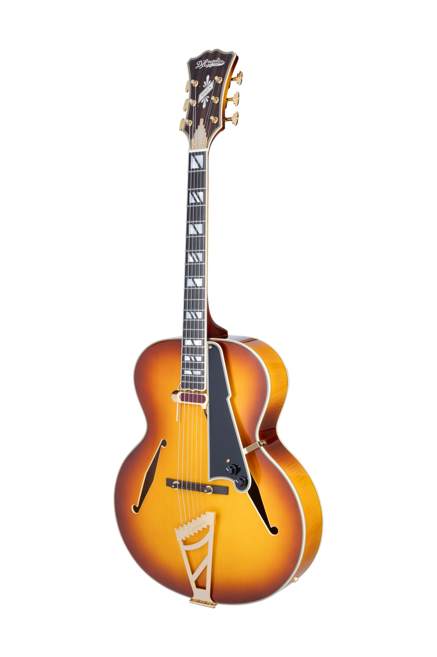The Dâ€™Angelico DAESTBDITBGT Archtop Hollow Body Guitar features a beautifully sculpted body with carved-style archtop construction, delivering warm, resonant tone ideal for jazz, blues, and classic styles. Its Dark Iced Tea Burst finish highlights the elegant vintage aesthetic, while the comfortable neck and quality electronics provide smooth playability and rich amplified sound. A sophisticated instrument built with Dâ€™Angelicoâ€™s timeless craftsmanship.