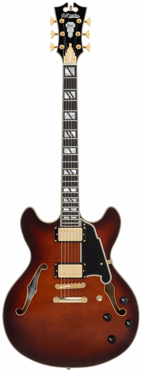 The Dâ€™Angelico DAEDCARBGS Double Cutaway Electric Guitar features a warm, vintage-inspired Amaretto Burst finish paired with a classic double-cut body design. A stop-bar tailpiece enhances sustain and tuning stability, while refined Dâ€™Angelico craftsmanship ensures smooth playability and expressive tone. Ideal for players seeking a versatile instrument capable of blues, jazz, rock, and modern styles.