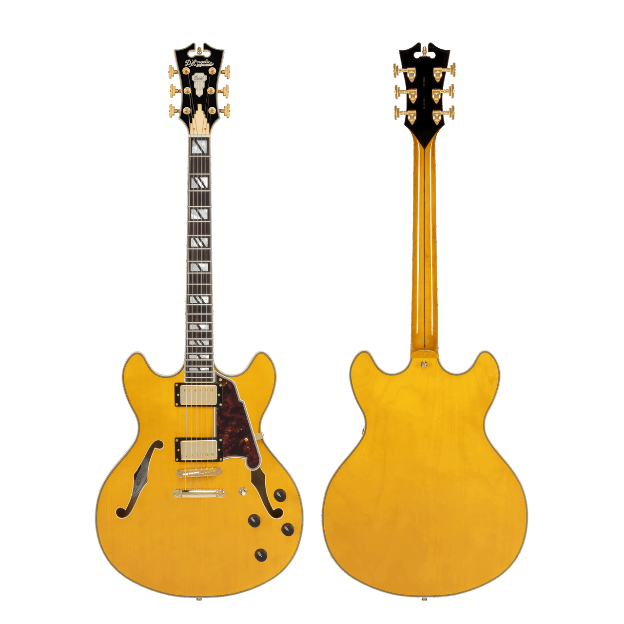 The DÃ¢â‚¬â„¢Angelico DAEDCAMBGS Double Cutaway Electric Guitar features a classic double-cut body paired with a rich Amber finish that highlights its vintage-inspired aesthetics. The stop-bar tailpiece provides excellent sustain and tuning stability, while quality pickups deliver warm, expressive tone suited for multiple genres. Built with DÃ¢â‚¬â„¢AngelicoÃ¢â‚¬â„¢s refined craftsmanship, this guitar offers comfort, versatility, and performance-ready reliability.