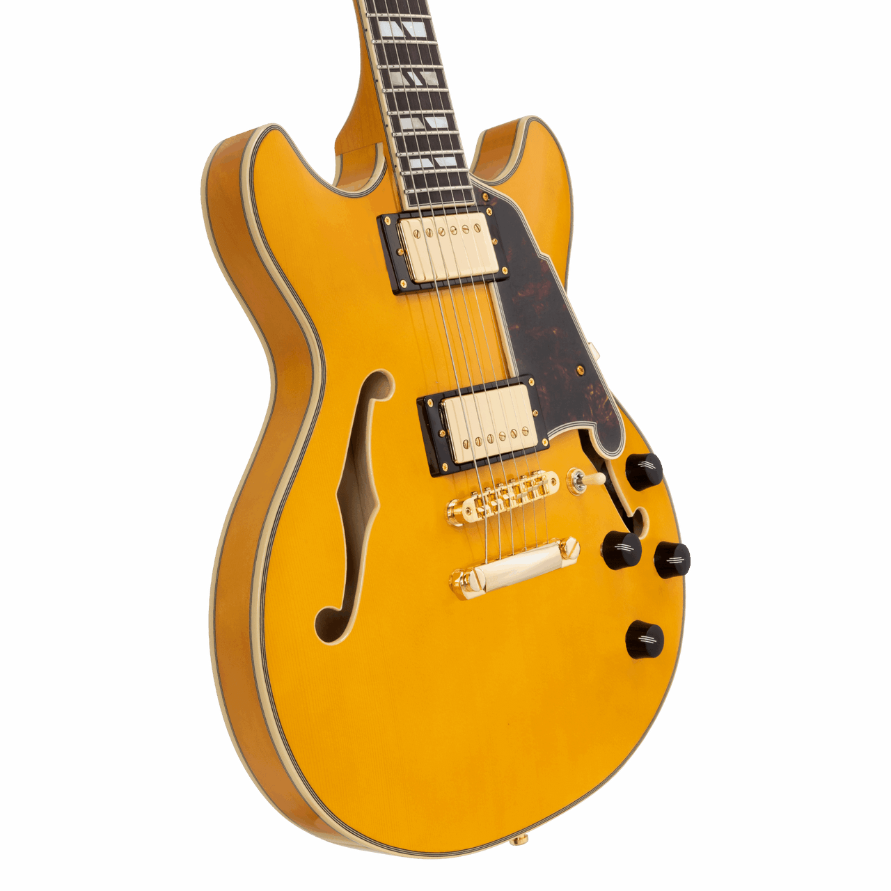 The DÃ¢â‚¬â„¢Angelico DAEMDCAMBGS Mini Double Cutaway Electric Guitar features a scaled-down double-cut body with a rich Amber finish, offering comfortable playability and classic aesthetics. The stop-bar tailpiece enhances sustain and tuning stability, while quality pickups deliver warm, articulate tones ideal for blues, rock, and versatile everyday playing. A stylish and compact option for musicians of all levels.