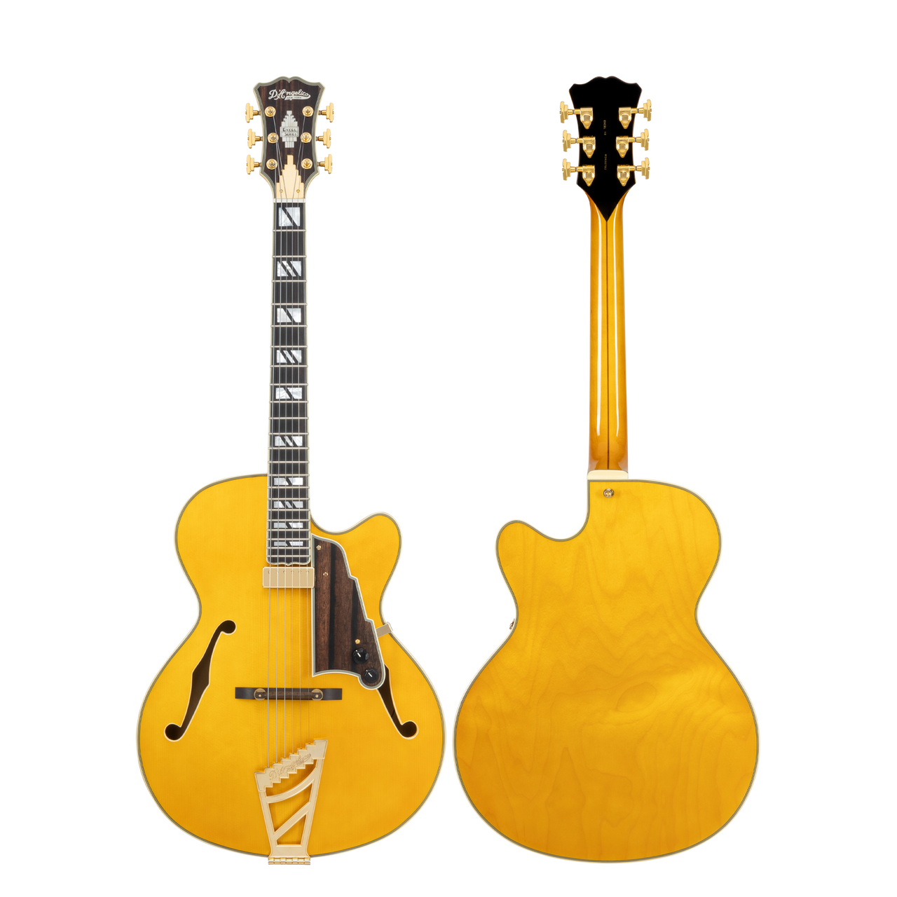 The Dâ€™Angelico Single Cutaway Hollowbody in Amber (DAE16AMBGT) delivers warm jazz tone, classic archtop styling, and includes a fitted case. Available at Musician Madness.