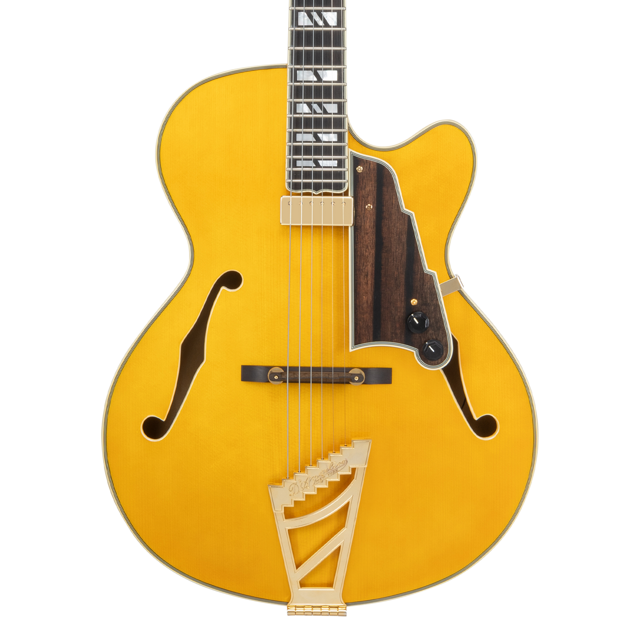 The Dâ€™Angelico Single Cutaway Hollowbody in Amber (DAE16AMBGT) delivers warm jazz tone, classic archtop styling, and includes a fitted case. Available at Musician Madness.