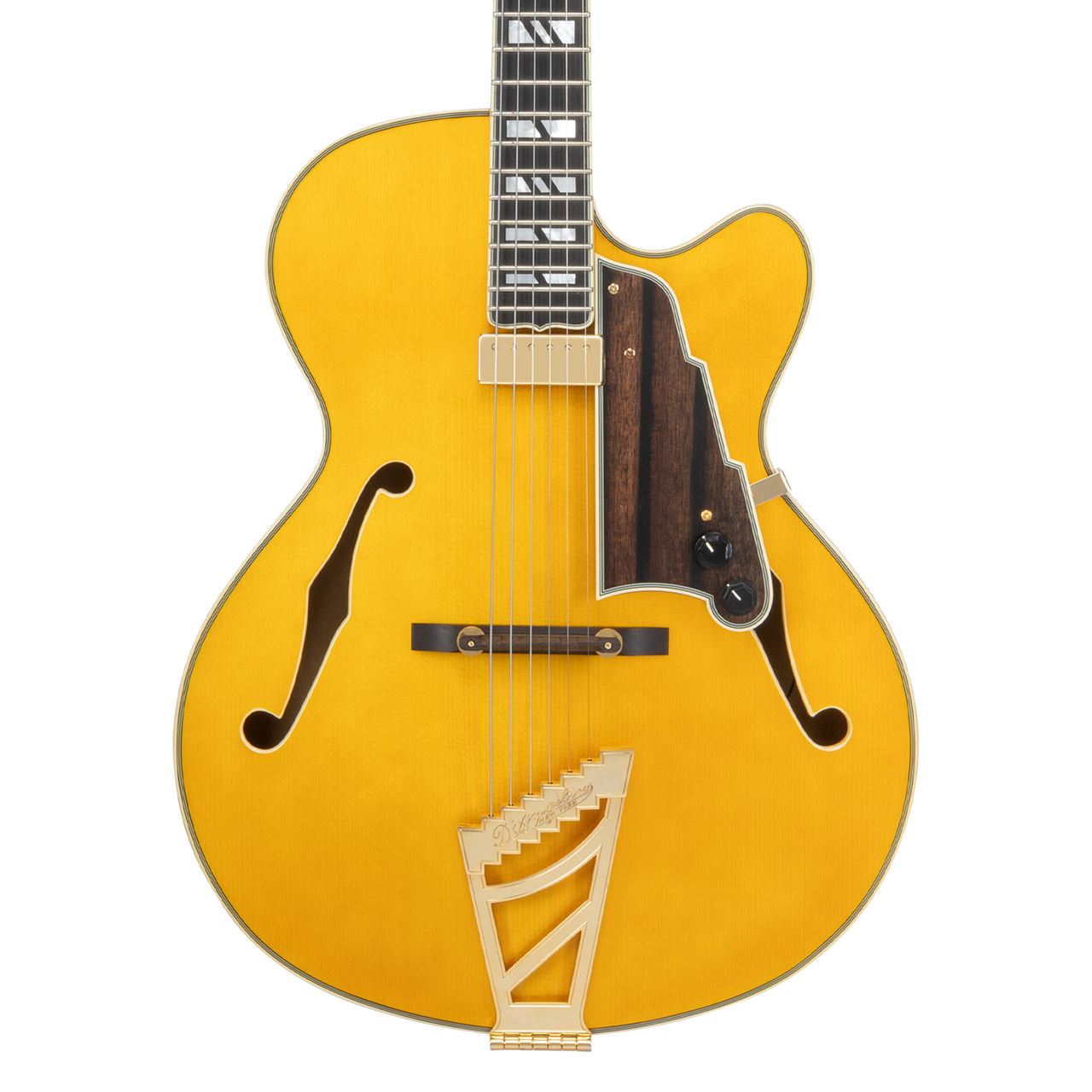 D'Angelico Single Cutaway Hollowbody w/ Case - Amber (DAE16AMBGT) | Musician Madness