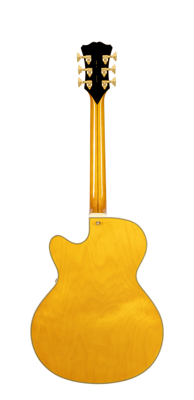 The DÃ¢â‚¬â„¢Angelico Single Cutaway Hollowbody in Amber (DAE16AMBGT) delivers warm jazz tone, classic archtop styling, and includes a fitted case. Available at Musician Madness.