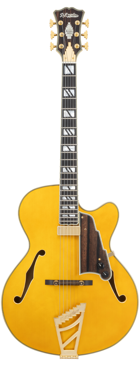 The Dâ€™Angelico Single Cutaway Hollowbody in Amber (DAE16AMBGT) delivers warm jazz tone, classic archtop styling, and includes a fitted case. Available at Musician Madness.